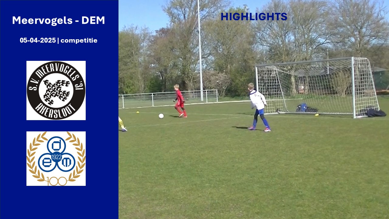Highlights Meervogels - DEM